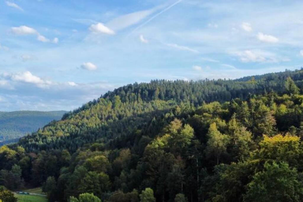 Wohnen Im Schwarzwald Mit Panoramablick Daire Bad Herrenalb Dış mekan fotoğraf